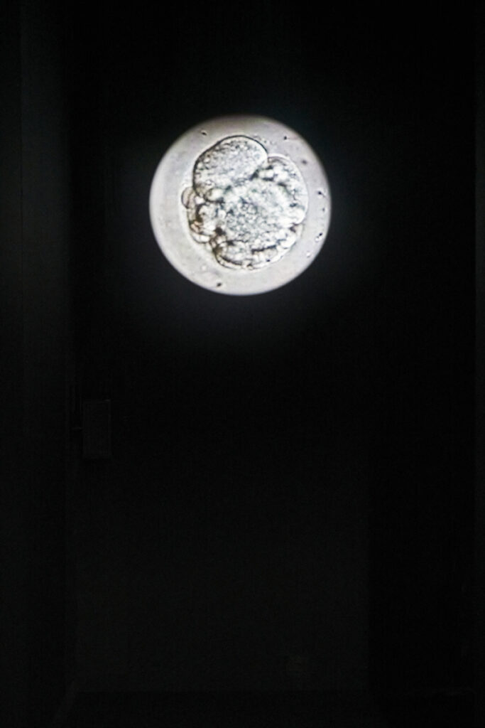 Installation view: “Chim↑Pom: Happy Spring” (Mori Art Museum, Tokyo, 2022), Photo by Kenji Morita, Courtesy of Mori Art Museum, Tokyo