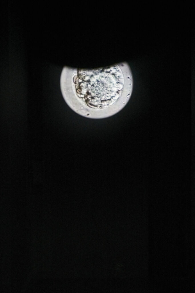 Installation view: “Chim↑Pom: Happy Spring” (Mori Art Museum, Tokyo, 2022), Photo by Kenji Morita, Courtesy of Mori Art Museum, Tokyo