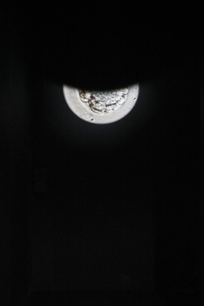 Installation view: “Chim↑Pom: Happy Spring” (Mori Art Museum, Tokyo, 2022), Photo by Kenji Morita, Courtesy of Mori Art Museum, Tokyo