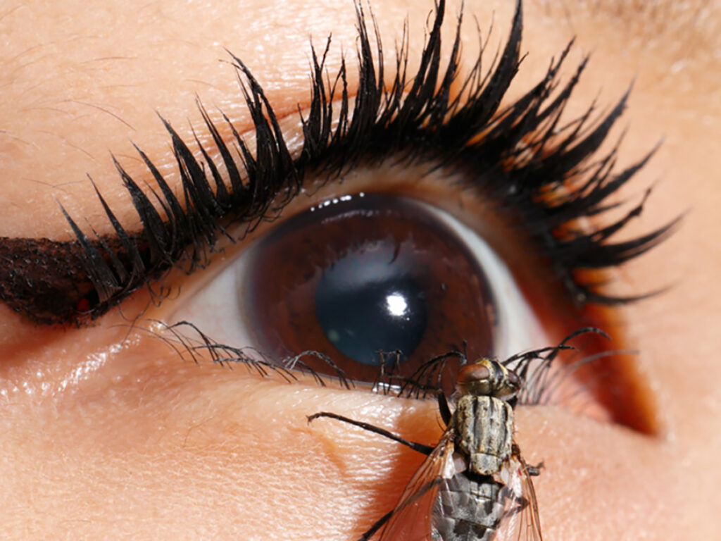 Ellie's Fly, 2013, Lambda print, 120×120cm, Photo: Kenji Morita, Courtesy of the artist