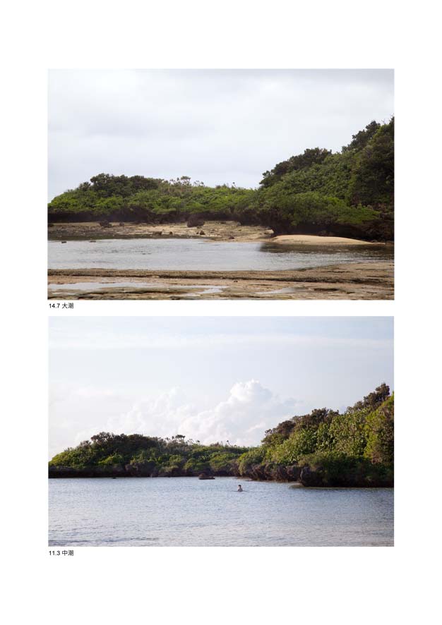 14.7 大潮、11.3 中潮