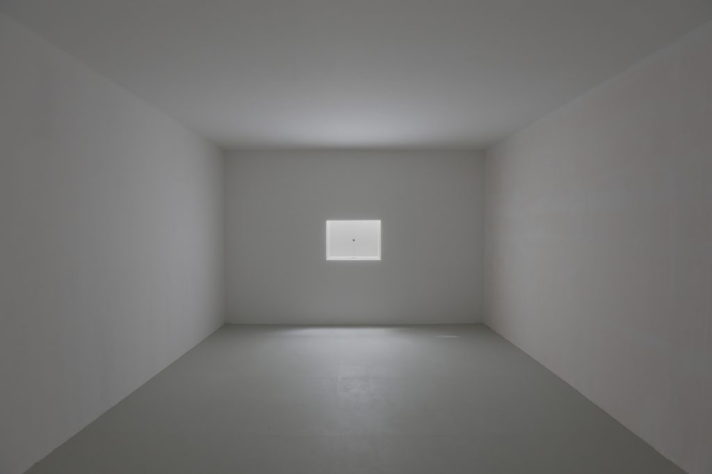 PAVILION 2013 Artist's bone, white cube, window display, Photo: Takeo Hibino