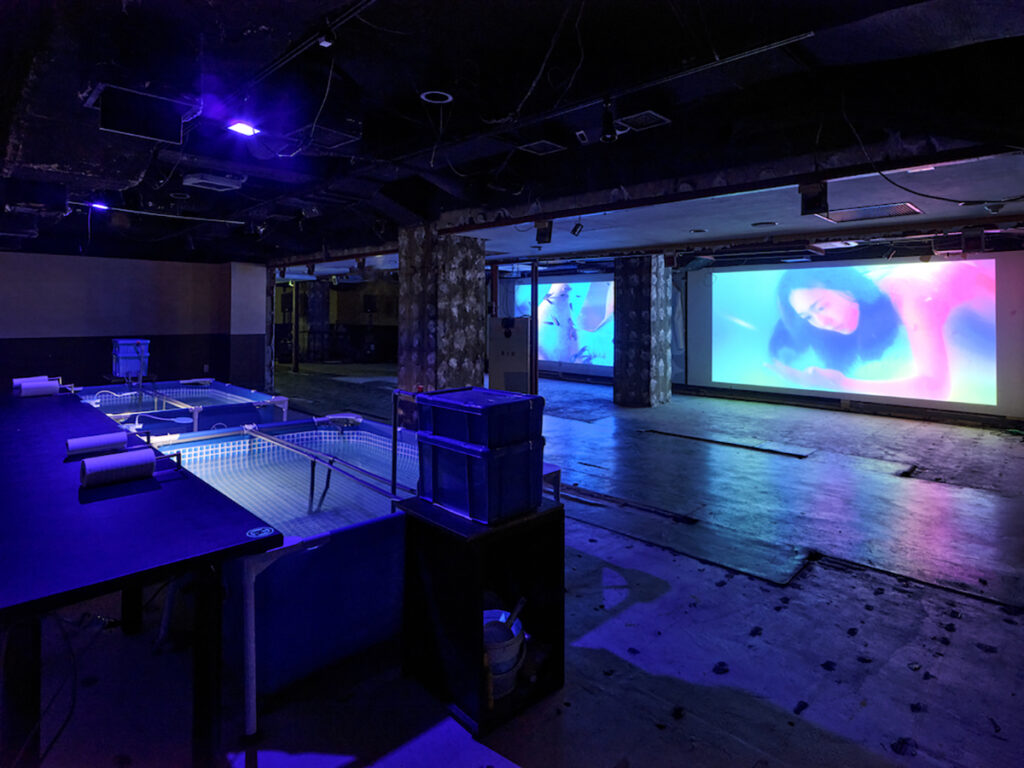 ＜地下1階＞「餌」2023, 養殖場、映像、レストラン, 「地獄」を意味する「奈落」。喰う喰われるの関係からヒトの角質を食すドクターフィッシュを養殖し、1階の「にんげんレストラン」の食材とする。展覧会の観客とイベントの参加者は全員角質取り放題。（撮影：森田兼次）