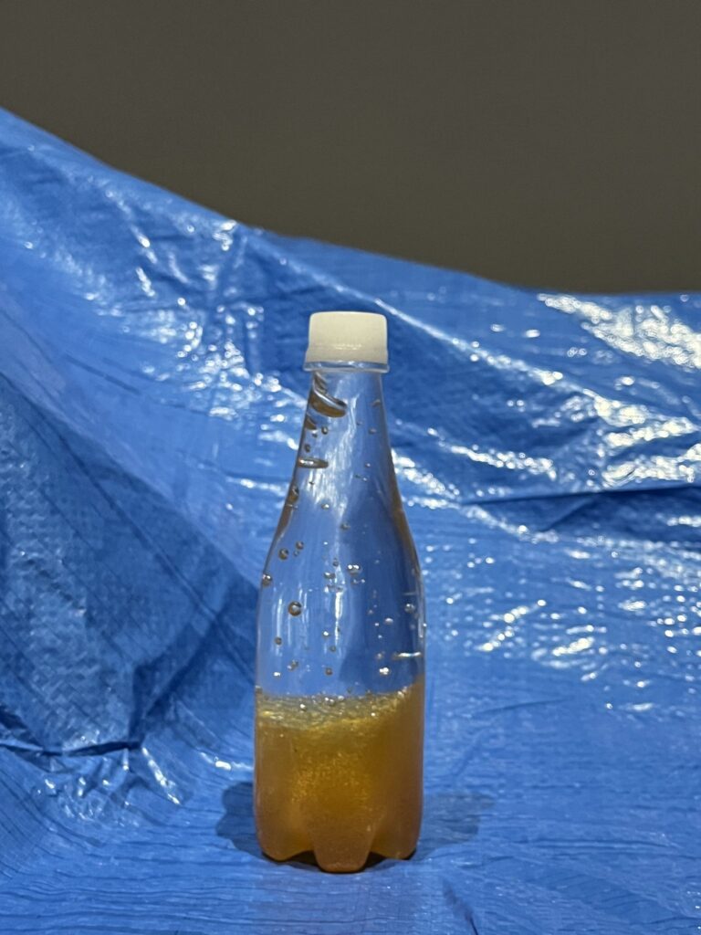 Blue tarp (2024) 