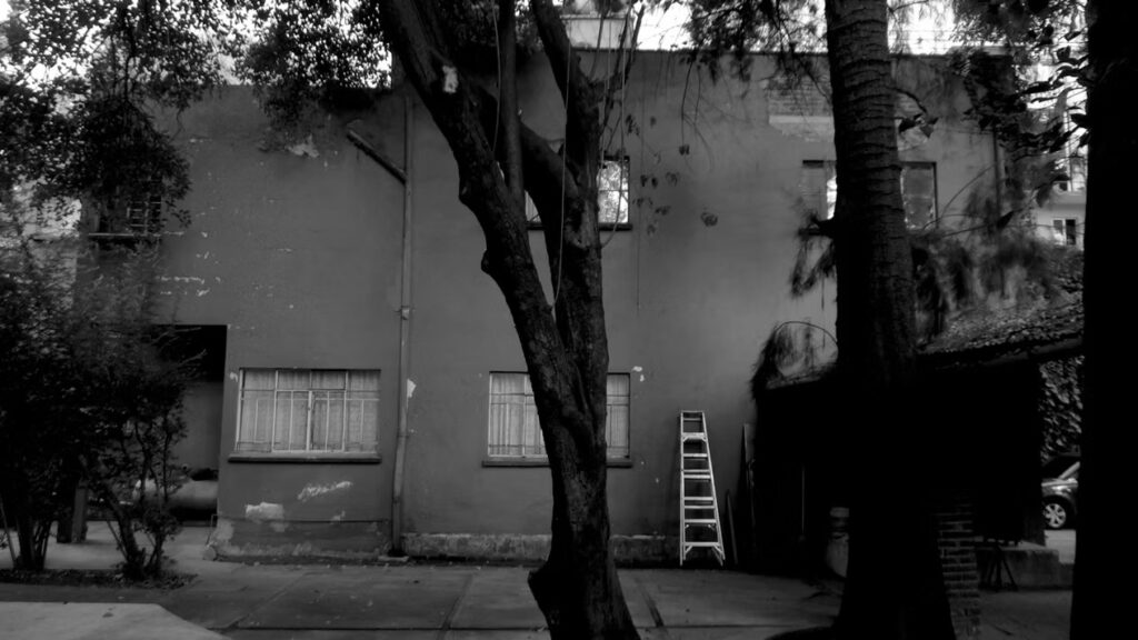 Another Vision (Juan Pablo)