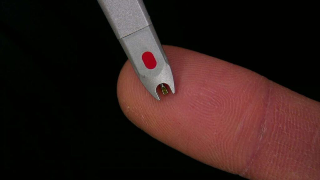 Fingerprint Music